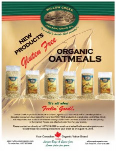 image of 01 - Gluten Free Product Launch Brochure