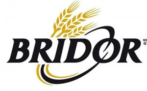 Bridor-logo