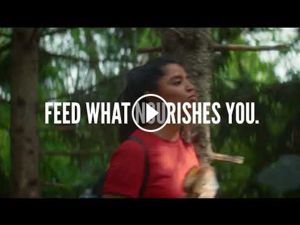 Dempster’s® Feed What Nourishes You